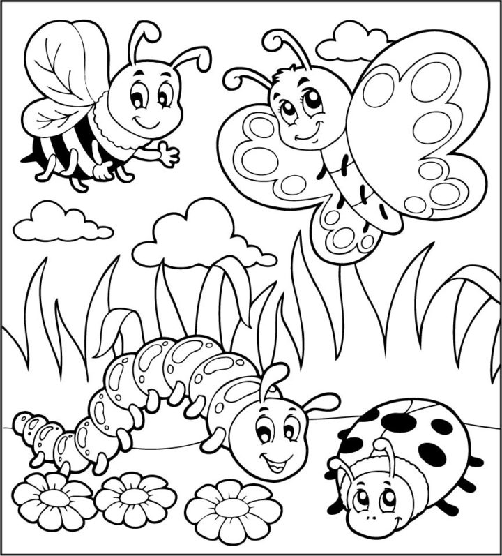 HiColoring.com – Online Coloring For Everyone Kids & Adults